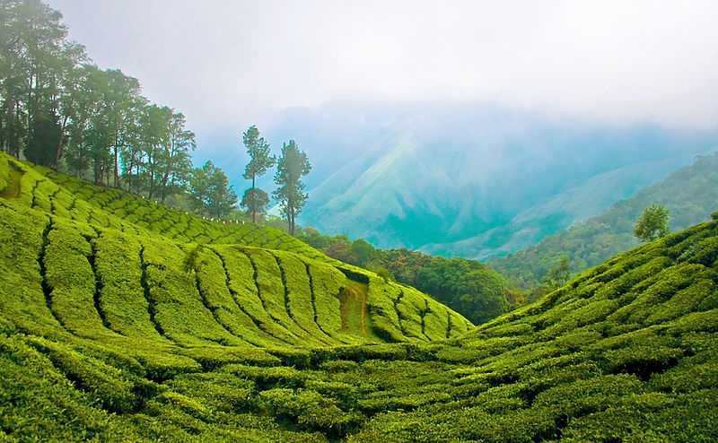 Darjeeling